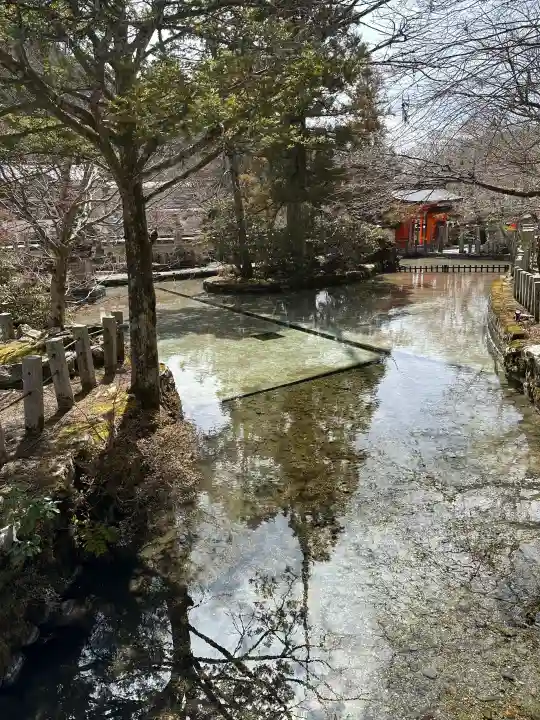 龍泉寺の{uncategorized: "未分類", other: "その他", undefined: "問題あり", building: "その他建物", grave: "お墓", sacred_gate: "鳥居", guardian: "狛犬", statue: "像", buddha: "仏像", history: "歴史", nature: "自然", garden: "庭園", animal: "動物", pagoda: "塔", temizu: "手水舎", mountain_gate: "山門・神門", sanctuary: "本殿・本堂", subordinate: "末社・摂社", art: "芸術", scenery: "景色", jizo: "地蔵", ema: "絵馬", goshuin: "御朱印", omikuji: "おみくじ", items: "授与品その他", amulet: "お守り", goshuincho: "御朱印帳", eats: "食事", festival: "お祭り", votive_dance: "神楽", shichigosan: "七五三参", wedding: "結婚式", experience: "体験その他", initially: "初詣", around: "周辺", anti_infection: "感染症対策"}
