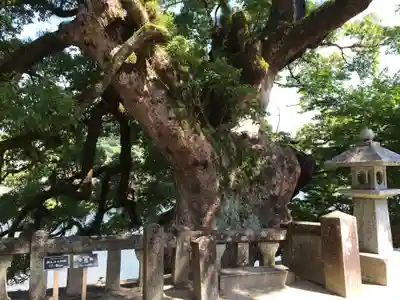 與止日女神社(佐賀県)