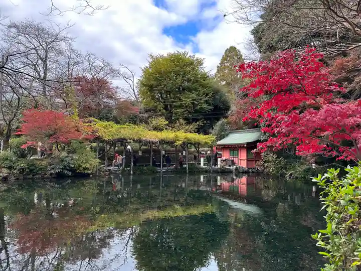 富士山本宮浅間大社(静岡県)