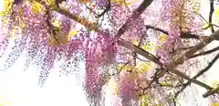 神田神社（神田明神）の庭園