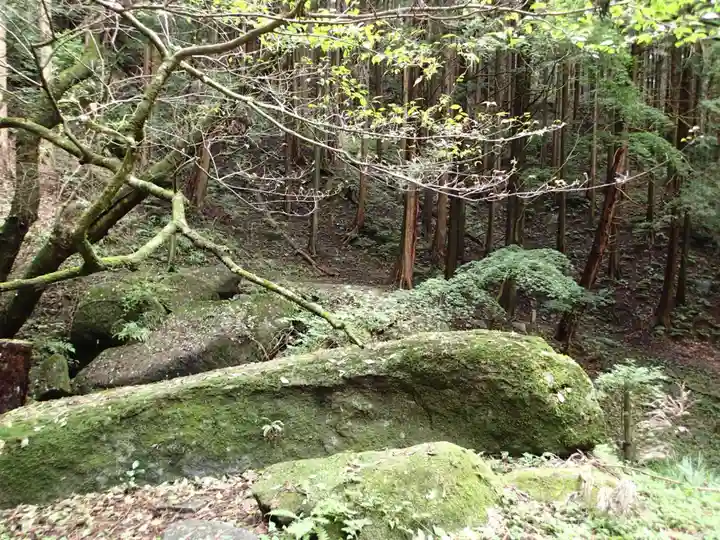 名草厳島神社の自然