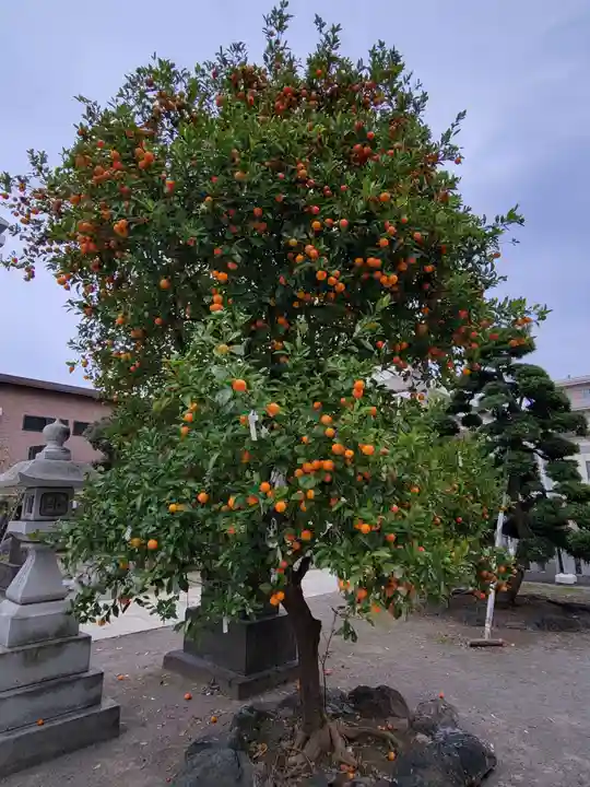 胡録神社の自然