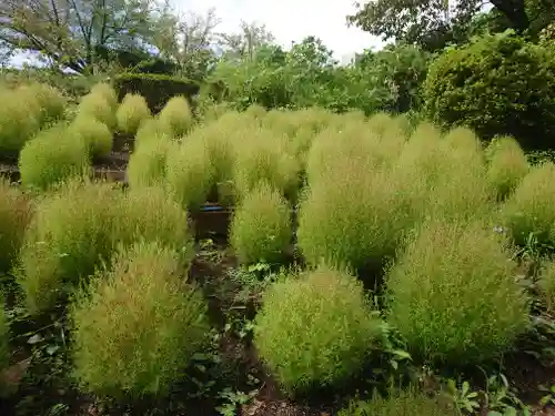 よみうりランド観音(東京都)
