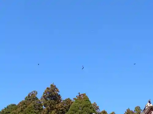 宝厳寺(滋賀県)