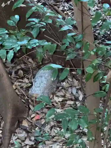 観心寺(大阪府)