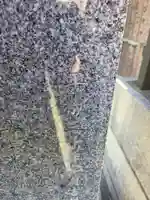 大天稲荷宮(東京都)