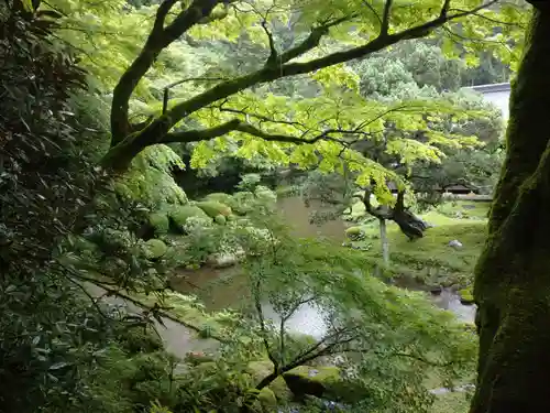 千如寺大悲王院の庭園