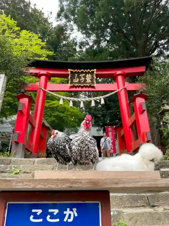 鷲子山上神社の{uncategorized: "未分類", other: "その他", undefined: "問題あり", building: "その他建物", grave: "お墓", sacred_gate: "鳥居", guardian: "狛犬", statue: "像", buddha: "仏像", history: "歴史", nature: "自然", garden: "庭園", animal: "動物", pagoda: "塔", temizu: "手水舎", mountain_gate: "山門・神門", sanctuary: "本殿・本堂", subordinate: "末社・摂社", art: "芸術", scenery: "景色", jizo: "地蔵", ema: "絵馬", goshuin: "御朱印", omikuji: "おみくじ", items: "授与品その他", amulet: "お守り", goshuincho: "御朱印帳", eats: "食事", festival: "お祭り", votive_dance: "神楽", shichigosan: "七五三参", wedding: "結婚式", experience: "体験その他", initially: "初詣", around: "周辺", anti_infection: "感染症対策"}
