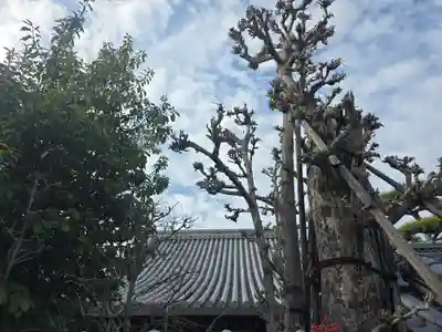 浄圓寺(大阪府)