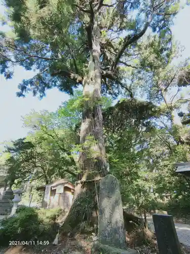 縣神社の自然