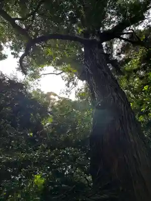 鹿島神宮(茨城県)