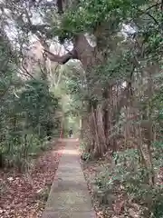 澳津説神社(茨城県)