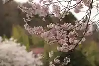 菅布禰神社の自然