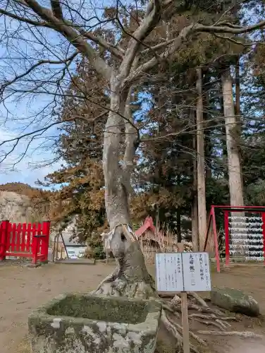 松澤神社の{uncategorized: "未分類", other: "その他", undefined: "問題あり", building: "その他建物", grave: "お墓", sacred_gate: "鳥居", guardian: "狛犬", statue: "像", buddha: "仏像", history: "歴史", nature: "自然", garden: "庭園", animal: "動物", pagoda: "塔", temizu: "手水舎", mountain_gate: "山門・神門", sanctuary: "本殿・本堂", subordinate: "末社・摂社", art: "芸術", scenery: "景色", jizo: "地蔵", ema: "絵馬", goshuin: "御朱印", omikuji: "おみくじ", items: "授与品その他", amulet: "お守り", goshuincho: "御朱印帳", eats: "食事", festival: "お祭り", votive_dance: "神楽", shichigosan: "七五三参", wedding: "結婚式", experience: "体験その他", initially: "初詣", around: "周辺", anti_infection: "感染症対策"}