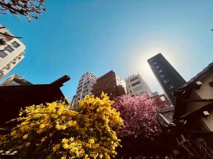 蔵前神社(東京都)