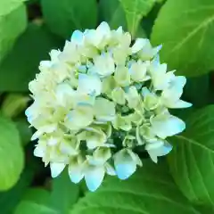 豊景神社の自然