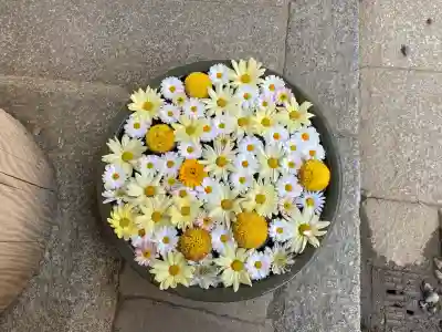 山﨑八幡宮の{uncategorized: "未分類", other: "その他", undefined: "問題あり", building: "その他建物", grave: "お墓", sacred_gate: "鳥居", guardian: "狛犬", statue: "像", buddha: "仏像", history: "歴史", nature: "自然", garden: "庭園", animal: "動物", pagoda: "塔", temizu: "手水舎", mountain_gate: "山門・神門", sanctuary: "本殿・本堂", subordinate: "末社・摂社", art: "芸術", scenery: "景色", jizo: "地蔵", ema: "絵馬", goshuin: "御朱印", omikuji: "おみくじ", items: "授与品その他", amulet: "お守り", goshuincho: "御朱印帳", eats: "食事", festival: "お祭り", votive_dance: "神楽", shichigosan: "七五三参", wedding: "結婚式", experience: "体験その他", initially: "初詣", around: "周辺", anti_infection: "感染症対策"}