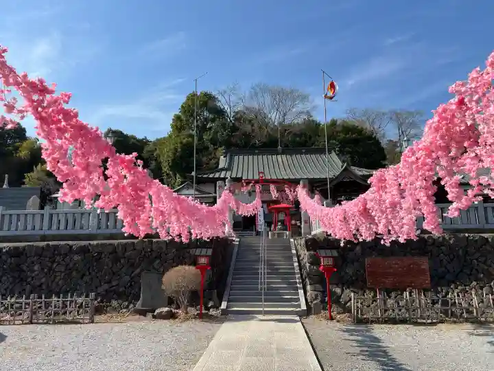 寺岡山元三大師の{uncategorized: "未分類", other: "その他", undefined: "問題あり", building: "その他建物", grave: "お墓", sacred_gate: "鳥居", guardian: "狛犬", statue: "像", buddha: "仏像", history: "歴史", nature: "自然", garden: "庭園", animal: "動物", pagoda: "塔", temizu: "手水舎", mountain_gate: "山門・神門", sanctuary: "本殿・本堂", subordinate: "末社・摂社", art: "芸術", scenery: "景色", jizo: "地蔵", ema: "絵馬", goshuin: "御朱印", omikuji: "おみくじ", items: "授与品その他", amulet: "お守り", goshuincho: "御朱印帳", eats: "食事", festival: "お祭り", votive_dance: "神楽", shichigosan: "七五三参", wedding: "結婚式", experience: "体験その他", initially: "初詣", around: "周辺", anti_infection: "感染症対策"}