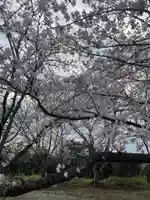 貴船神社の自然