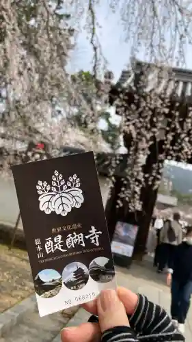 醍醐寺の{uncategorized: "未分類", other: "その他", undefined: "問題あり", building: "その他建物", grave: "お墓", sacred_gate: "鳥居", guardian: "狛犬", statue: "像", buddha: "仏像", history: "歴史", nature: "自然", garden: "庭園", animal: "動物", pagoda: "塔", temizu: "手水舎", mountain_gate: "山門・神門", sanctuary: "本殿・本堂", subordinate: "末社・摂社", art: "芸術", scenery: "景色", jizo: "地蔵", ema: "絵馬", goshuin: "御朱印", omikuji: "おみくじ", items: "授与品その他", amulet: "お守り", goshuincho: "御朱印帳", eats: "食事", festival: "お祭り", votive_dance: "神楽", shichigosan: "七五三参", wedding: "結婚式", experience: "体験その他", initially: "初詣", around: "周辺", anti_infection: "感染症対策"}