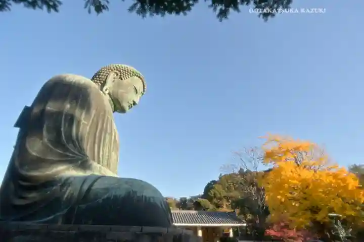 高徳院(神奈川県)