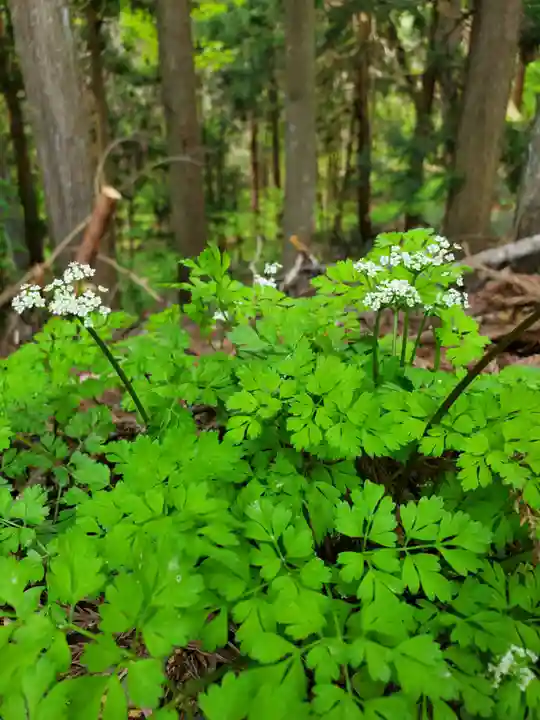 磐椅神社(福島県)