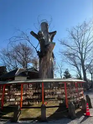 上野総社神社(群馬県)