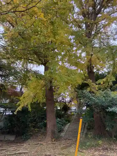 倶利伽羅不動尊(千葉県)