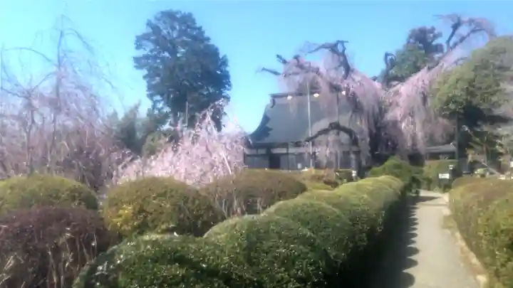 慈雲寺(山梨県)