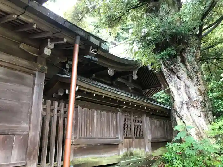 菅生石部神社の本殿・本堂