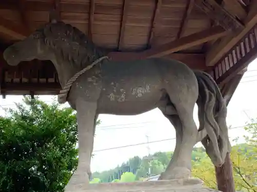 近津神社の狛犬