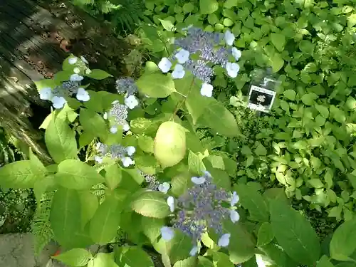 光則寺の庭園