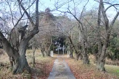 橿原神社の景色