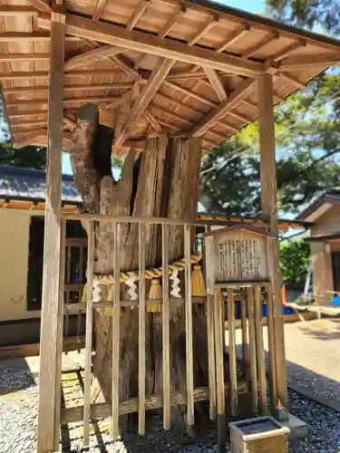 泉神社(茨城県)