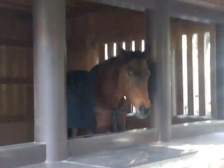 伊勢神宮内宮(皇大神宮)(三重県)