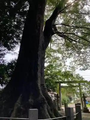 向田神社(栃木県)
