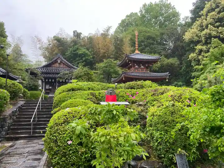 平等寺(三輪山平等寺)の{uncategorized: "未分類", other: "その他", undefined: "問題あり", building: "その他建物", grave: "お墓", sacred_gate: "鳥居", guardian: "狛犬", statue: "像", buddha: "仏像", history: "歴史", nature: "自然", garden: "庭園", animal: "動物", pagoda: "塔", temizu: "手水舎", mountain_gate: "山門・神門", sanctuary: "本殿・本堂", subordinate: "末社・摂社", art: "芸術", scenery: "景色", jizo: "地蔵", ema: "絵馬", goshuin: "御朱印", omikuji: "おみくじ", items: "授与品その他", amulet: "お守り", goshuincho: "御朱印帳", eats: "食事", festival: "お祭り", votive_dance: "神楽", shichigosan: "七五三参", wedding: "結婚式", experience: "体験その他", initially: "初詣", around: "周辺", anti_infection: "感染症対策"}