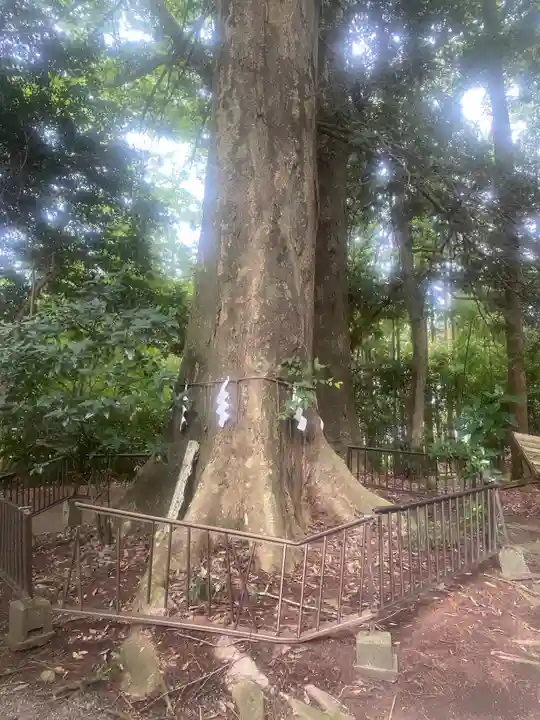 宮原八幡宮(栃木県)