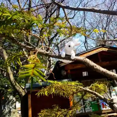 彌彦神社　(伊夜日子神社)の像