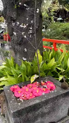 愛宕神社の{uncategorized: "未分類", other: "その他", undefined: "問題あり", building: "その他建物", grave: "お墓", sacred_gate: "鳥居", guardian: "狛犬", statue: "像", buddha: "仏像", history: "歴史", nature: "自然", garden: "庭園", animal: "動物", pagoda: "塔", temizu: "手水舎", mountain_gate: "山門・神門", sanctuary: "本殿・本堂", subordinate: "末社・摂社", art: "芸術", scenery: "景色", jizo: "地蔵", ema: "絵馬", goshuin: "御朱印", omikuji: "おみくじ", items: "授与品その他", amulet: "お守り", goshuincho: "御朱印帳", eats: "食事", festival: "お祭り", votive_dance: "神楽", shichigosan: "七五三参", wedding: "結婚式", experience: "体験その他", initially: "初詣", around: "周辺", anti_infection: "感染症対策"}