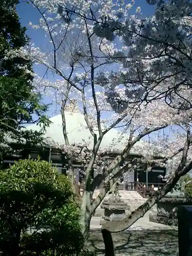 長勝寺の自然