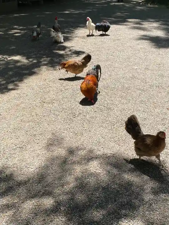 石上神宮(奈良県)