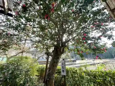 浄得寺(三重県)