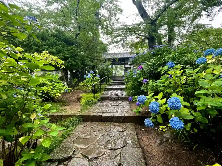 資福寺の{uncategorized: "未分類", other: "その他", undefined: "問題あり", building: "その他建物", grave: "お墓", sacred_gate: "鳥居", guardian: "狛犬", statue: "像", buddha: "仏像", history: "歴史", nature: "自然", garden: "庭園", animal: "動物", pagoda: "塔", temizu: "手水舎", mountain_gate: "山門・神門", sanctuary: "本殿・本堂", subordinate: "末社・摂社", art: "芸術", scenery: "景色", jizo: "地蔵", ema: "絵馬", goshuin: "御朱印", omikuji: "おみくじ", items: "授与品その他", amulet: "お守り", goshuincho: "御朱印帳", eats: "食事", festival: "お祭り", votive_dance: "神楽", shichigosan: "七五三参", wedding: "結婚式", experience: "体験その他", initially: "初詣", around: "周辺", anti_infection: "感染症対策"}