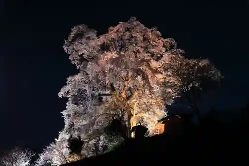 天神さまの祠の自然