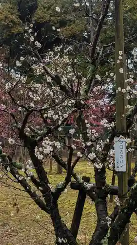 長岡天満宮(京都府)