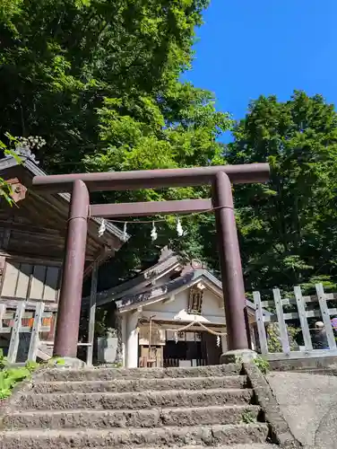 戸隠神社奥社の鳥居