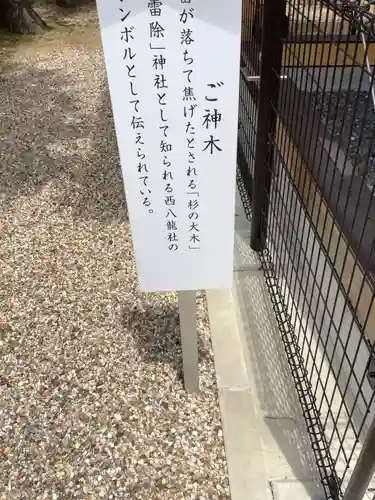 西八龍社のその他建物