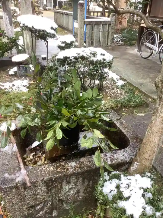 酒見神社の手水舎