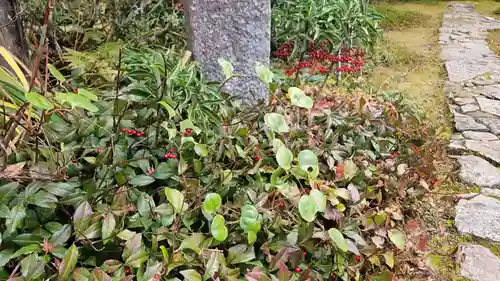 実光院(京都府)